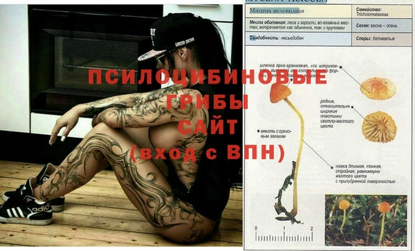 Альфа ПВП Абаза