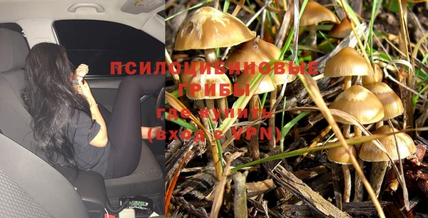 Альфа ПВП Абаза